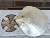 Secondhand Baptismal Shell - Ref XUP/BPS - UNDER OFFER