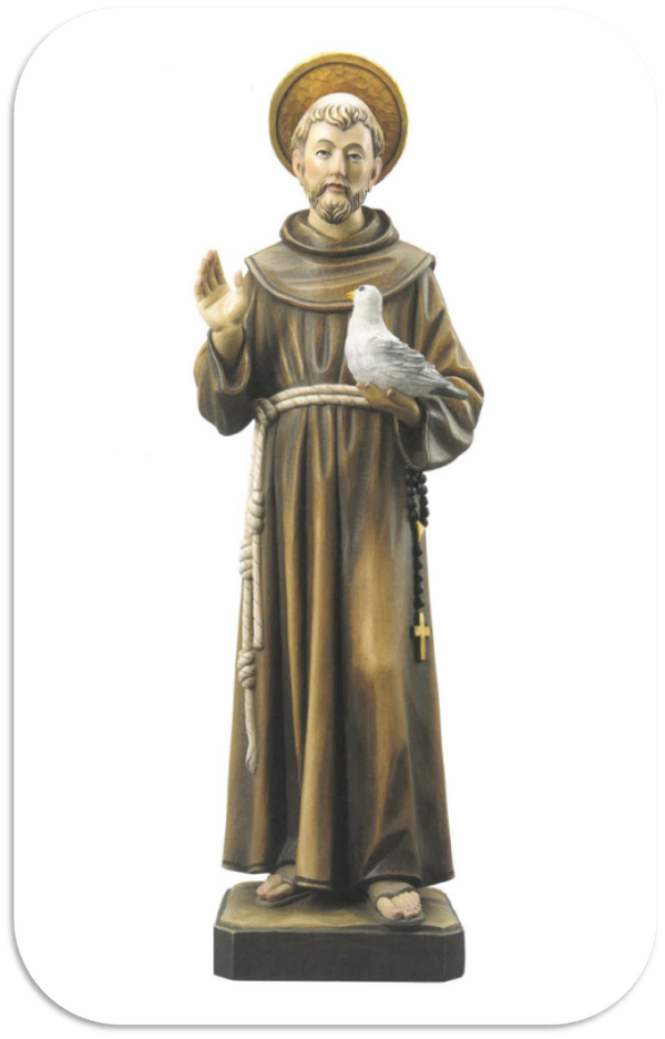 ST FRANCIS (242)