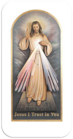 JESUS DIVINE MERCY (49A)